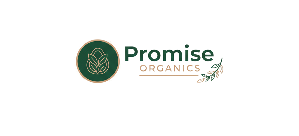 Promise Logo
